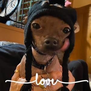 Meet your Posher, Jean